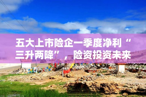 五大上市险企一季度净利“三升两降”，险资投资未来或增配权益及长债