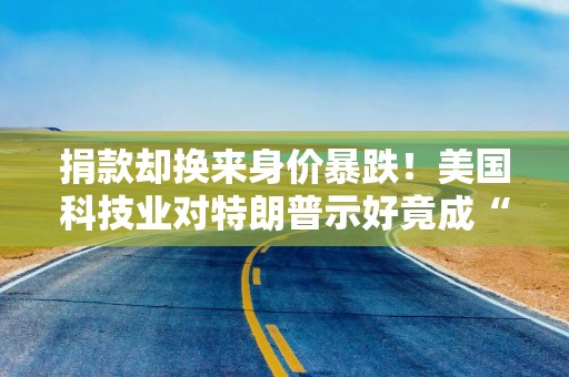 捐款却换来身价暴跌！美国科技业对特朗普示好竟成“浮士德交易”