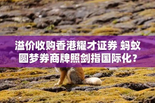 溢价收购香港耀才证券 蚂蚁圆梦券商牌照剑指国际化？