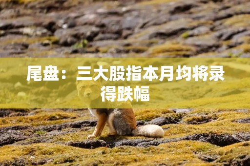 尾盘：三大股指本月均将录得跌幅