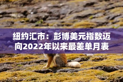 纽约汇市：彭博美元指数迈向2022年以来最差单月表现 加元上涨