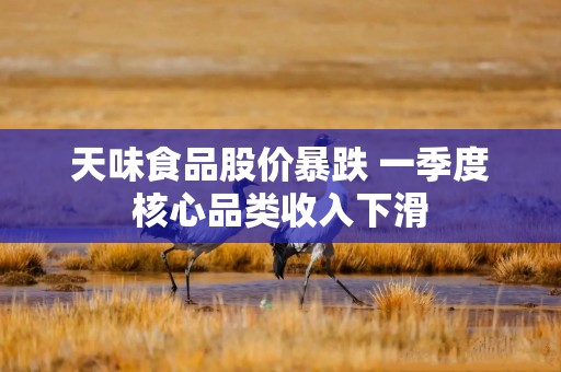 天味食品股价暴跌 一季度核心品类收入下滑