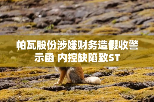帕瓦股份涉嫌财务造假收警示函 内控缺陷致ST