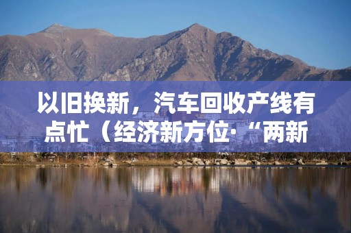 以旧换新，汽车回收产线有点忙（经济新方位·“两新”政策发力显效）