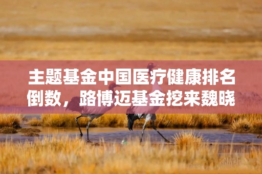 主题基金中国医疗健康排名倒数，路博迈基金挖来魏晓雪又如何？