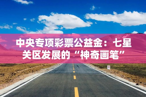 中央专项彩票公益金：七星关区发展的“神奇画笔”