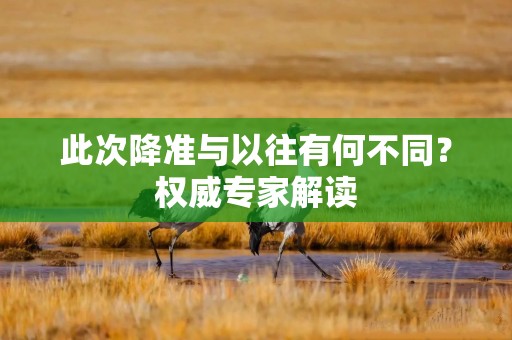此次降准与以往有何不同？权威专家解读