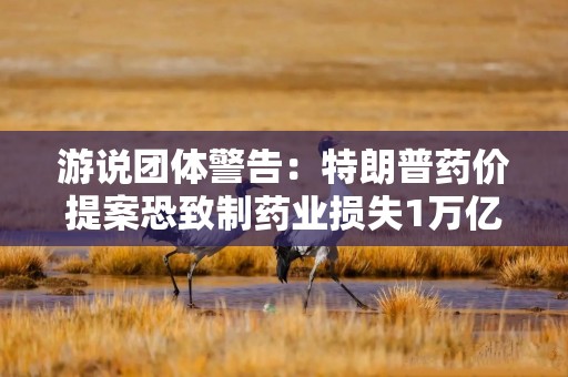 游说团体警告：特朗普药价提案恐致制药业损失1万亿美元