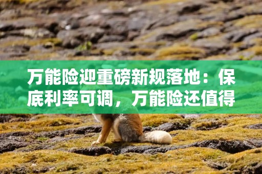 万能险迎重磅新规落地：保底利率可调，万能险还值得买吗？