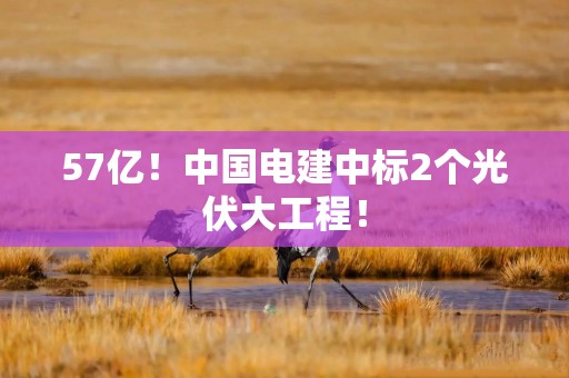 57亿！中国电建中标2个光伏大工程！