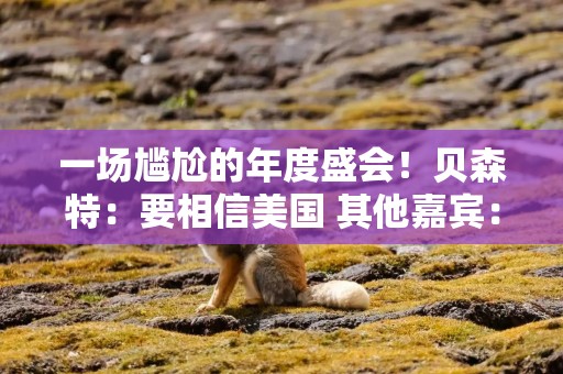 一场尴尬的年度盛会！贝森特：要相信美国 其他嘉宾：海外资产更香