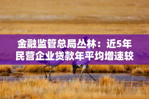 金融监管总局丛林：近5年民营企业贷款年平均增速较各项贷款高1.1个百分点