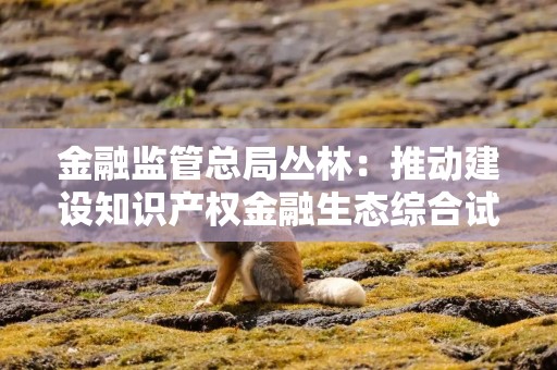 金融监管总局丛林：推动建设知识产权金融生态综合试验区 助力知识产权质押融资