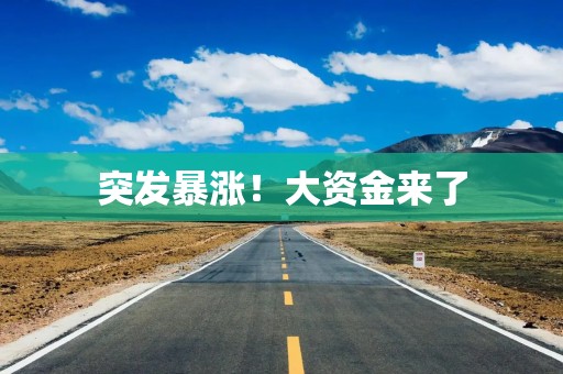 突发暴涨！大资金来了