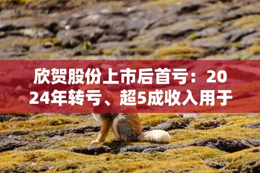 欣贺股份上市后首亏：2024年转亏、超5成收入用于营销 存货周转天数高达554天