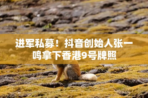 进军私募！抖音创始人张一鸣拿下香港9号牌照