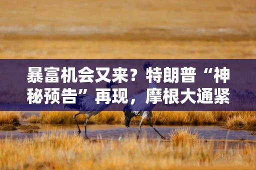 暴富机会又来？特朗普“神秘预告”再现，摩根大通紧急下令：买入！