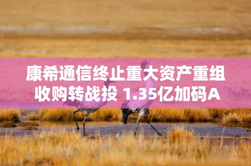 康希通信终止重大资产重组 收购转战投 1.35亿加码AIoT赛道