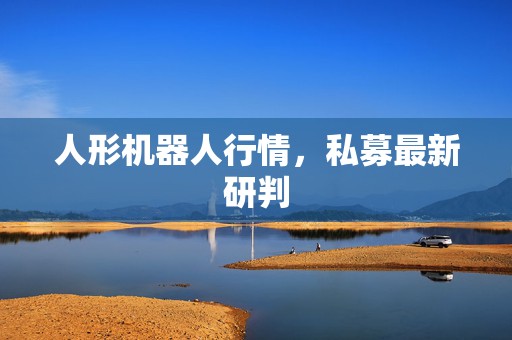 人形机器人行情，私募最新研判