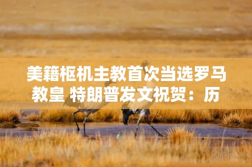 美籍枢机主教首次当选罗马教皇 特朗普发文祝贺：历史性时刻