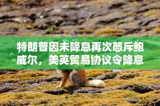 特朗普因未降息再次怒斥鲍威尔，美英贸易协议令降息押注降温