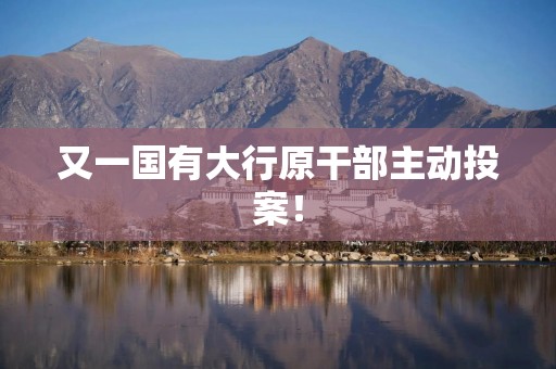 又一国有大行原干部主动投案！