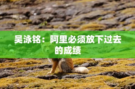 吴泳铭：阿里必须放下过去的成绩