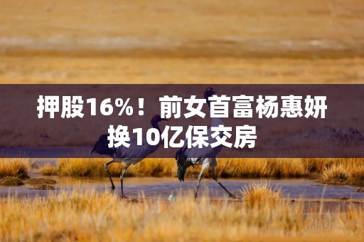 押股16%！前女首富杨惠妍换10亿保交房