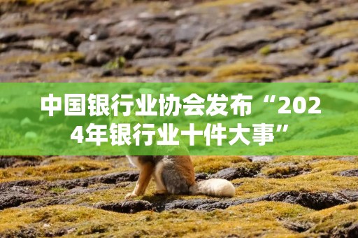 中国银行业协会发布“2024年银行业十件大事”