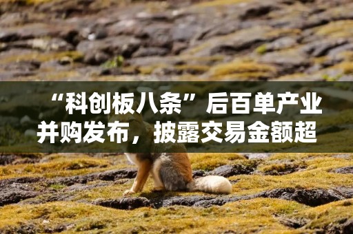 “科创板八条”后百单产业并购发布，披露交易金额超247亿