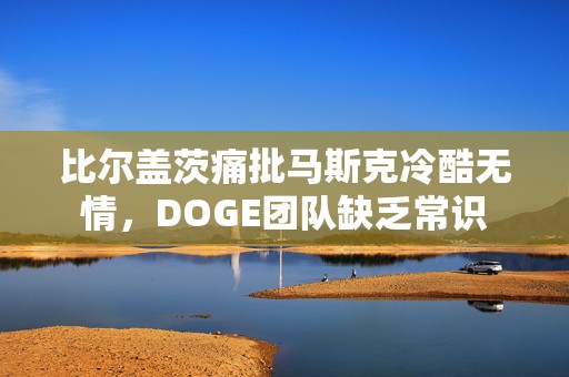 比尔盖茨痛批马斯克冷酷无情，DOGE团队缺乏常识