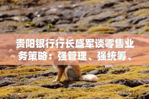 贵阳银行行长盛军谈零售业务策略：强管理、强统筹、强敏捷、强赋能、强联动