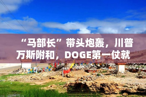 “马部长”带头炮轰，川普万斯附和，DOGE第一仗就要让美国政府关门？