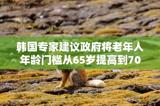 韩国专家建议政府将老年人年龄门槛从65岁提高到70岁