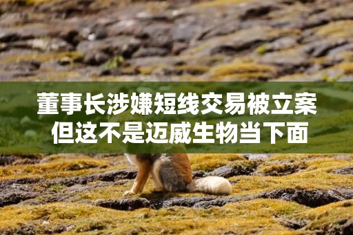 董事长涉嫌短线交易被立案 但这不是迈威生物当下面临的最大挑战