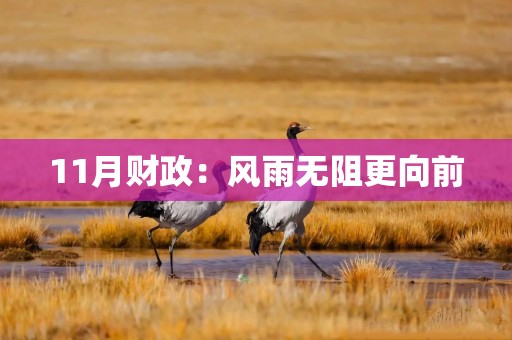 11月财政：风雨无阻更向前