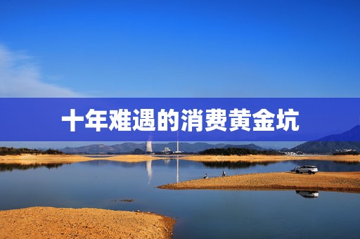 十年难遇的消费黄金坑