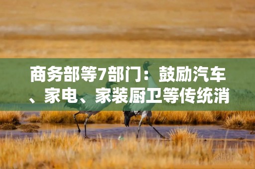 商务部等7部门：鼓励汽车、家电、家装厨卫等传统消费品“以旧换新”