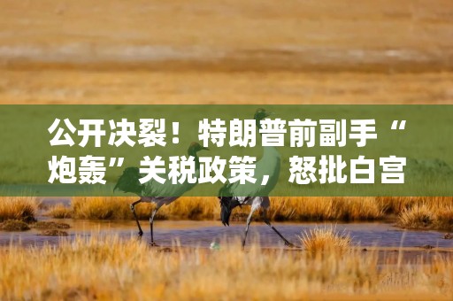 公开决裂！特朗普前副手“炮轰”关税政策，怒批白宫对乌摇摆不定