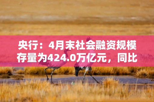 央行：4月末社会融资规模存量为424.0万亿元，同比增长8.7%