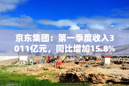 京东集团：第一季度收入3011亿元，同比增加15.8%