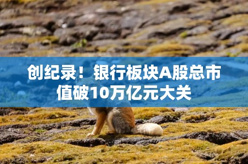 创纪录！银行板块A股总市值破10万亿元大关