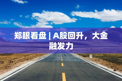 郑眼看盘 | A股回升，大金融发力