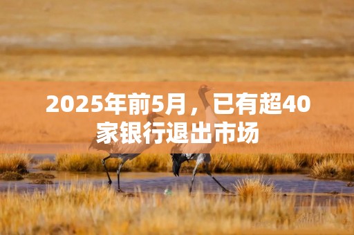 2025年前5月，已有超40家银行退出市场