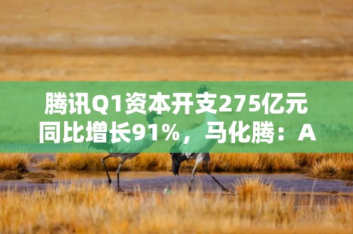 腾讯Q1资本开支275亿元同比增长91%，马化腾：AI投入将产生长期可观的增量回报