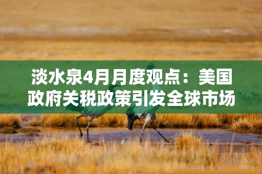 淡水泉4月月度观点：美国政府关税政策引发全球市场动荡