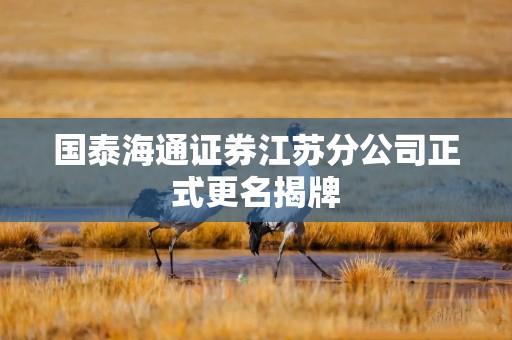国泰海通证券江苏分公司正式更名揭牌