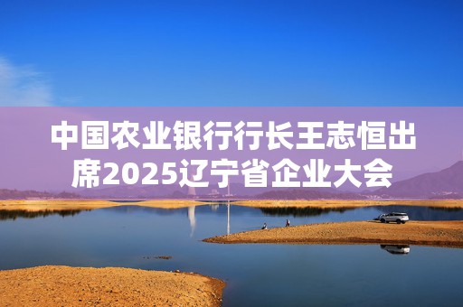 中国农业银行行长王志恒出席2025辽宁省企业大会