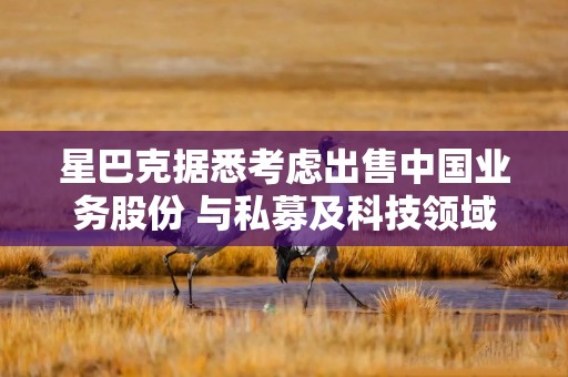 星巴克据悉考虑出售中国业务股份 与私募及科技领域公司接触