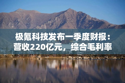 极氪科技发布一季度财报：营收220亿元，综合毛利率19.1%